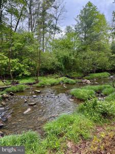 Lots 1 & 2 TROUT RUN ROAD