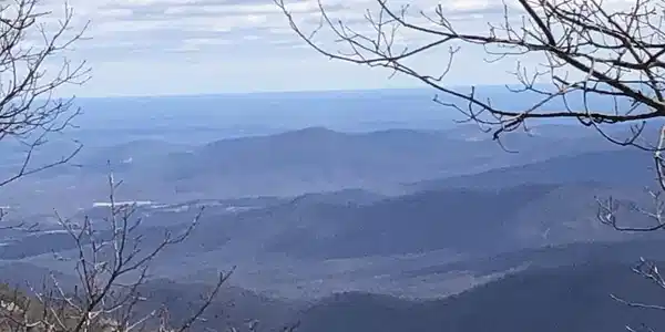 186 HEMLOCK DR