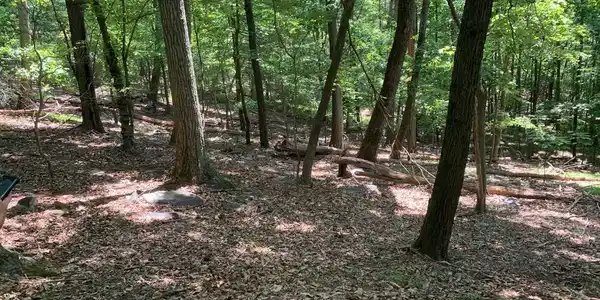 2586, 2588, 2590 WILEY TERRACE