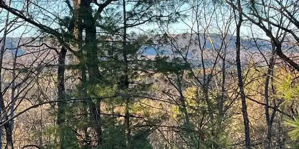 23 MALLARD DR