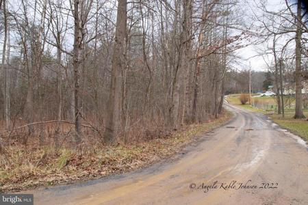 AUTUMN LANE