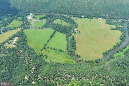 109 ACRES ON CACAPON RIVER
