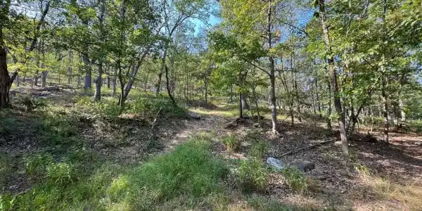 12 ELK TRAIL