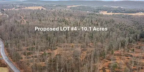 LOT 4 BACK ROAD