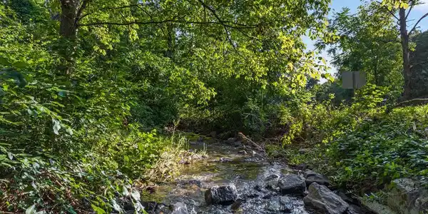 51A GOONEY MANOR LOOP