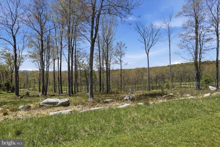 Lot 43 BILTMORE RIDGE TRAIL