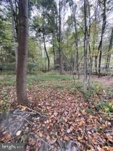 Lot 5 CLOUSER HOLLOW ROAD