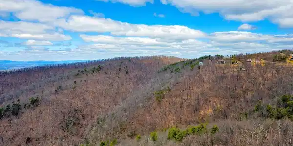 MOUNTAIN LAUREL LN