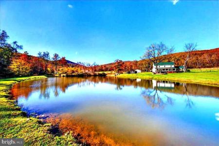 290 RILEY HOLLOW ROAD