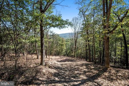 LOT 6 BACK CREEK RD