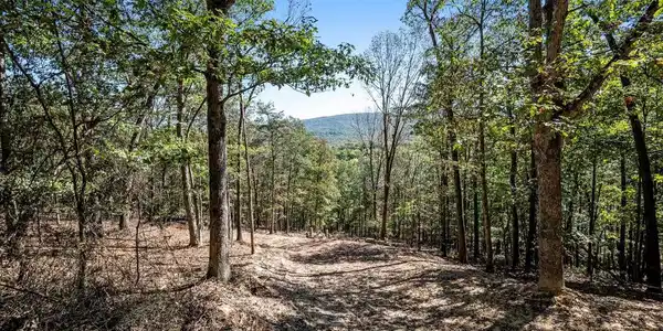LOT 6 BACK CREEK RD