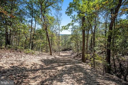LOT 5 BACK CREEK RD