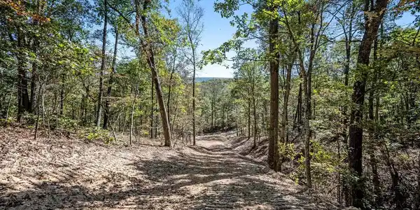 LOT 5 BACK CREEK RD
