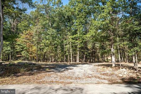 LOT 1 BACK CREEK RD