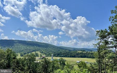 RADNOR DR