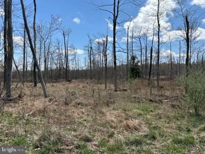 CHERRY RIDGE ROAD (LOT 2)