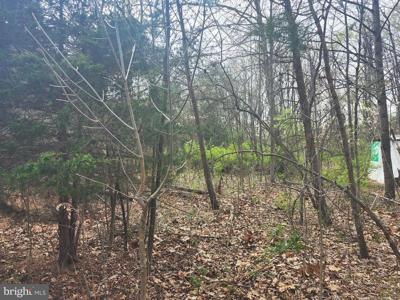 LOT 25 SHUMAC TRAIL