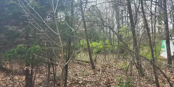 LOT 25 SHUMAC TRAIL