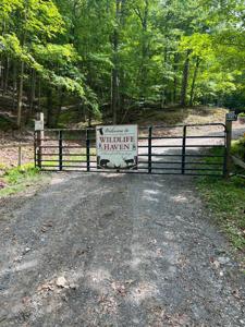 EDGAR LANE