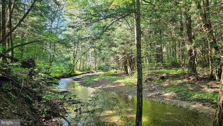 327.9 Acres MAHAFFEY GRAMPIAN HIGHWAY