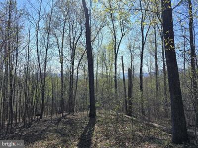 LOT 2 S FT VALLEY RD