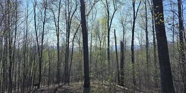 LOT 2 S FT VALLEY RD