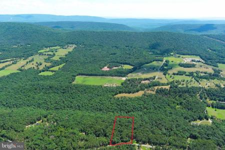 6 CACAPON VIEW