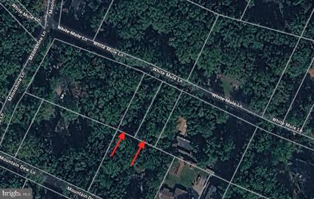 Lots 31 & 32 WHITE MULE LN