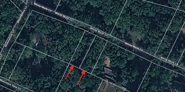 Lots 31 & 32 WHITE MULE LN