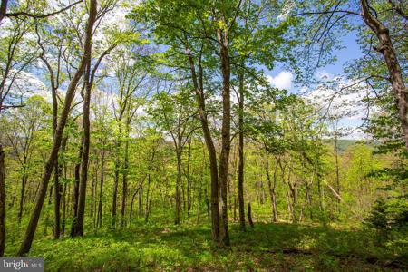0 CHURCH MOUNTAIN LANE