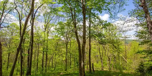 0 CHURCH MOUNTAIN LANE