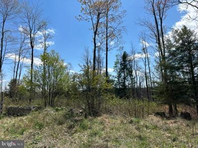 CHERRY RIDGE ROAD (LOT 1)