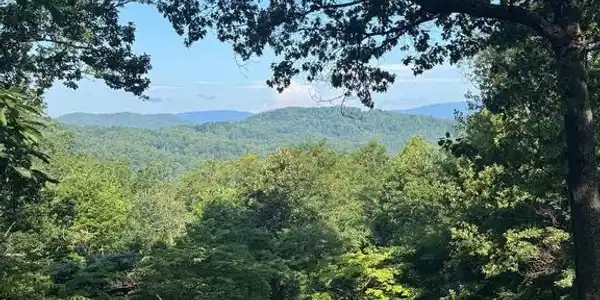 1950 LOCUST HOLLOW RD