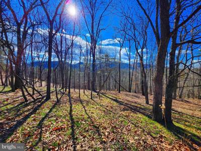 LOT 24 OLD MOUNTAIN RUN TRAIL