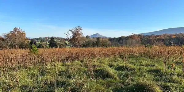 70 AC SMITH CREEK ROAD