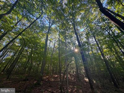 Tract 2 S TETER CREEK ROAD