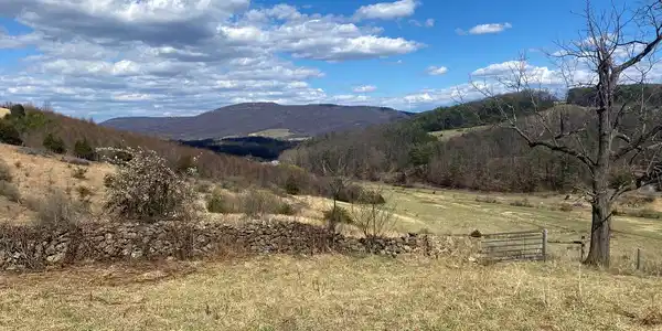 Gooney manor loop GOONEY MANOR LOOP