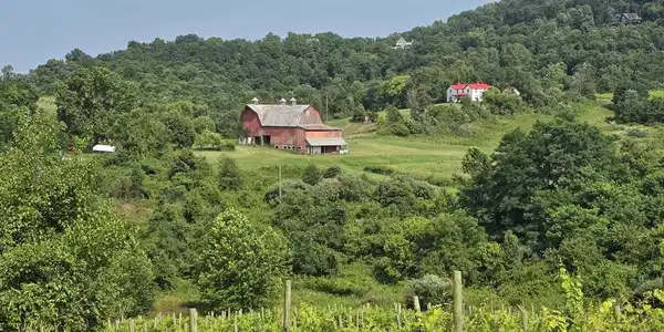 RED BARN LANE