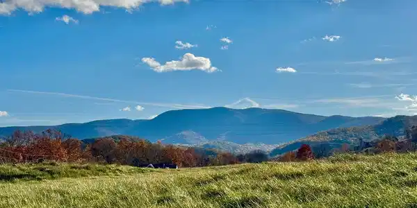 3.7 ac BUCK MOUNTAIN RD