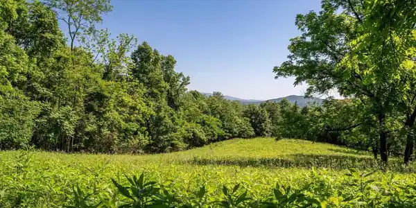 TBD ROCKFISH ORCHARD DR