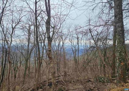 TBD Lot 17 & 18 SPRING BRANCH LN