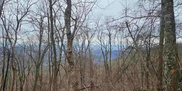TBD Lot 17 & 18 SPRING BRANCH LN