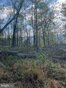 Lot 44A MOUNTAIN TOP RD