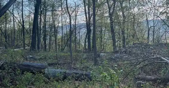 Lot 44A MOUNTAIN TOP RD