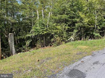 Lot 111 CUB TRAIL