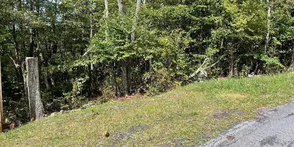Lot 111 CUB TRAIL