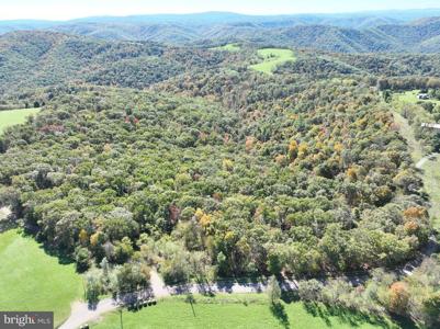 40.00 AC SHENANDOAH MOUNTAIN ROAD