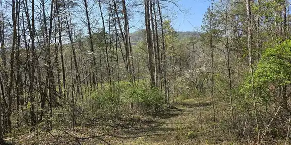 LOT 1 S FT VALLEY RD