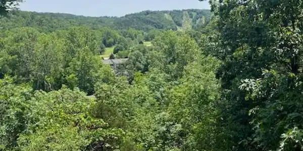 216 BEAUREGARD DRIVE