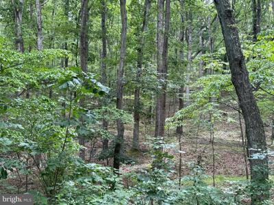 8.34 ACRES ON ARNOLD STICKLEY RD.